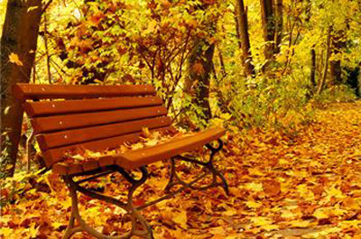 超聲經(jīng)顱多普勒血流分析儀