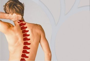 便攜式骨密度儀價格