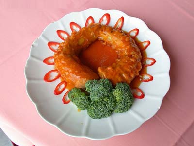 經顱多普勒儀器