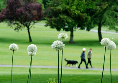 經(jīng)顱多普勒